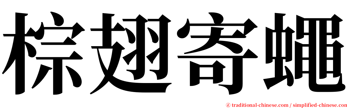 棕翅寄蠅 serif font