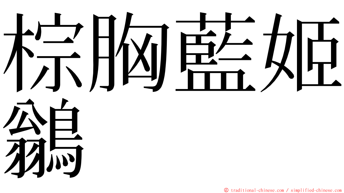 棕胸藍姬鶲 ming font