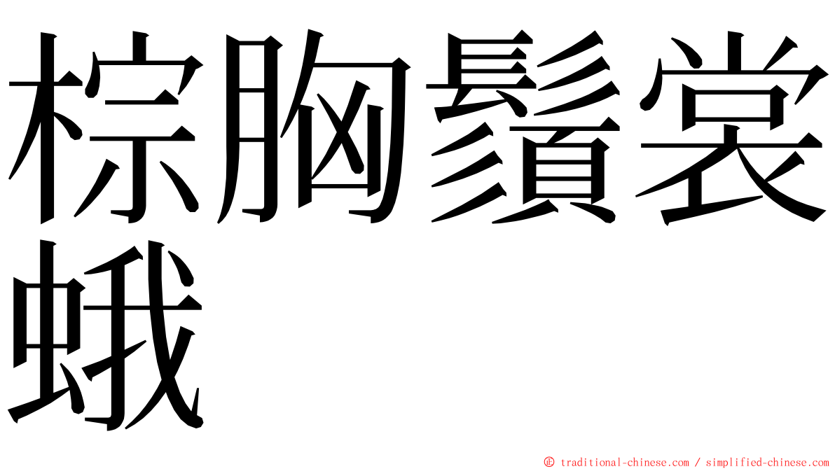 棕胸鬚裳蛾 ming font