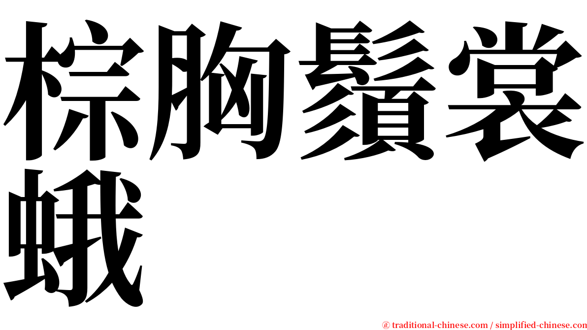 棕胸鬚裳蛾 serif font