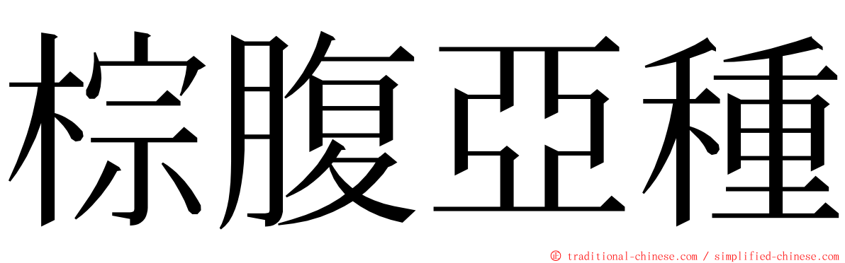 棕腹亞種 ming font