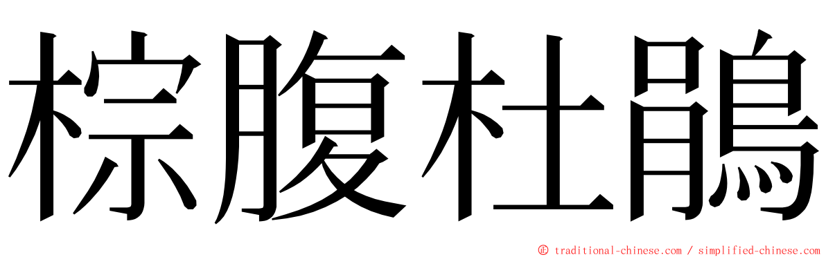 棕腹杜鵑 ming font