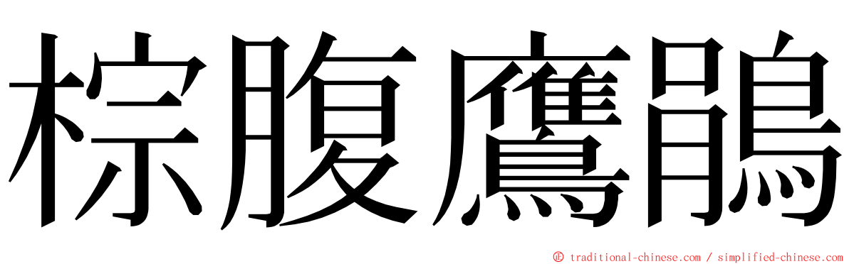 棕腹鷹鵑 ming font