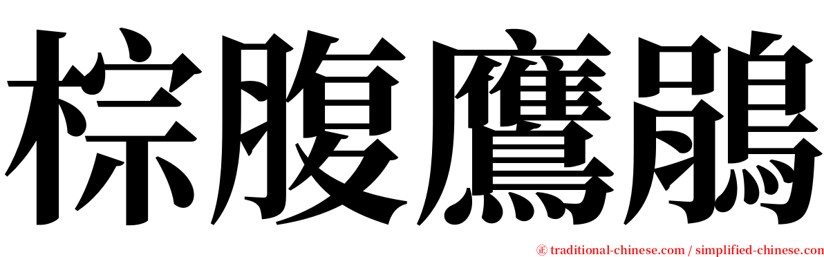 棕腹鷹鵑 serif font