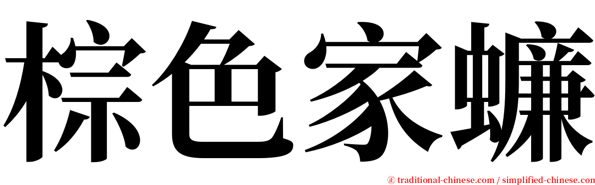 棕色家蠊 serif font