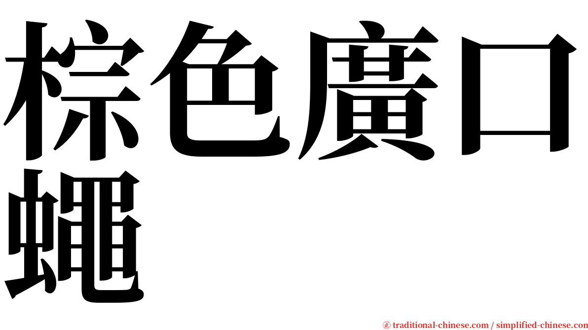 棕色廣口蠅 serif font