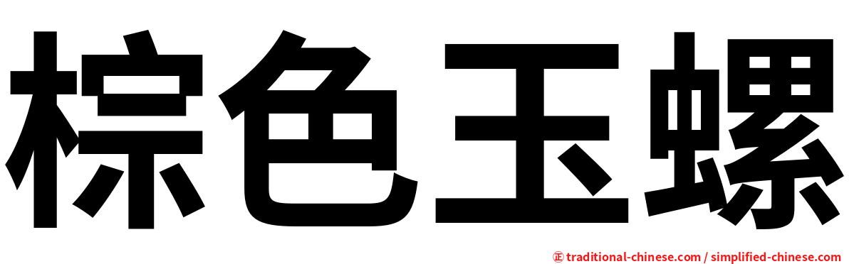 棕色玉螺