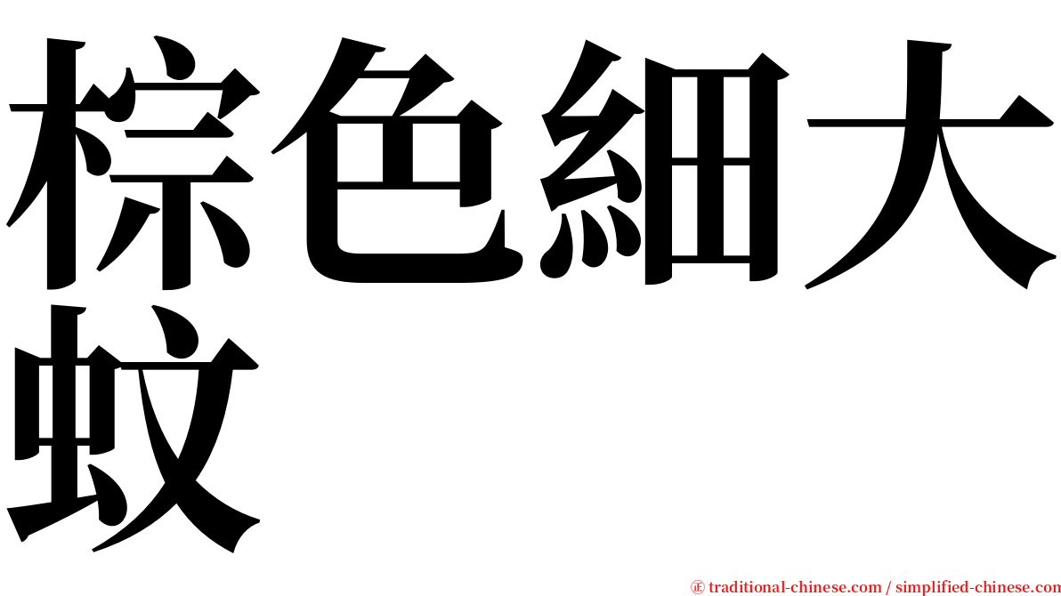 棕色細大蚊 serif font