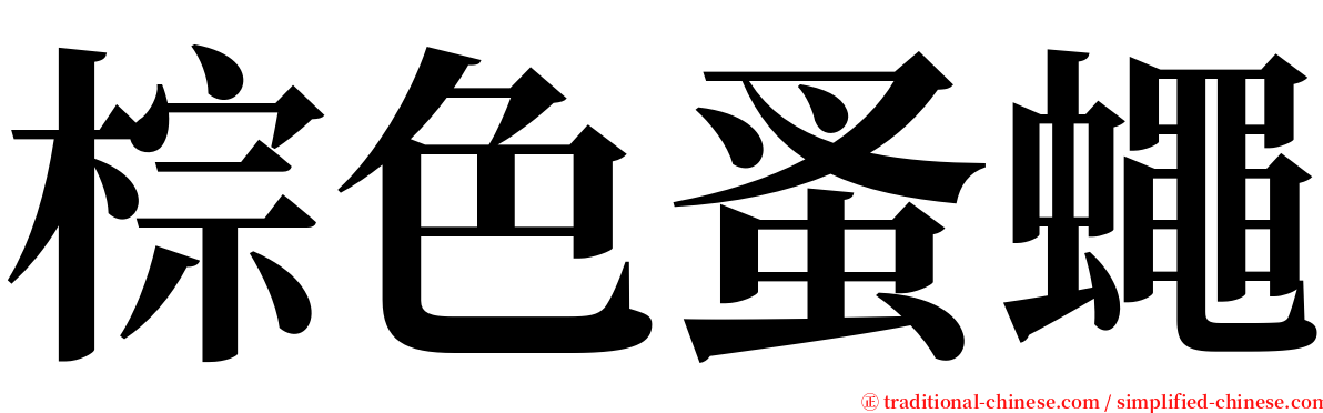 棕色蚤蠅 serif font