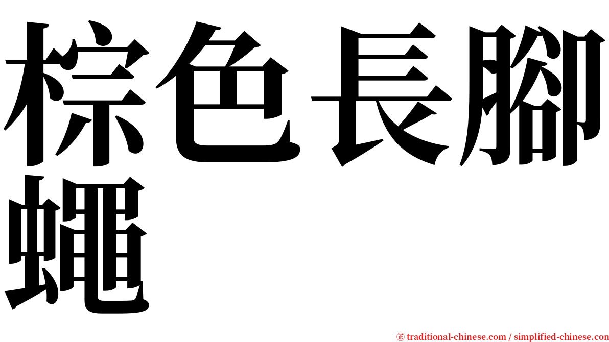 棕色長腳蠅 serif font