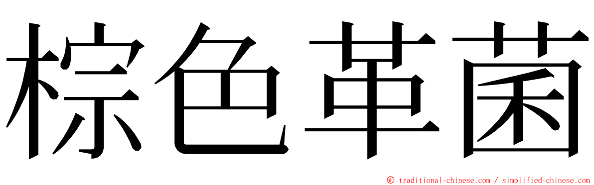 棕色革菌 ming font
