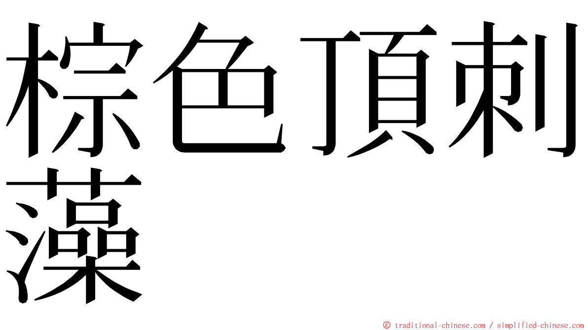 棕色頂刺藻 ming font