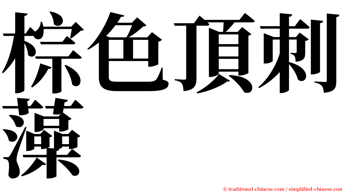 棕色頂刺藻 serif font