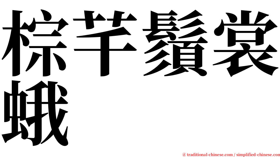 棕芊鬚裳蛾 serif font