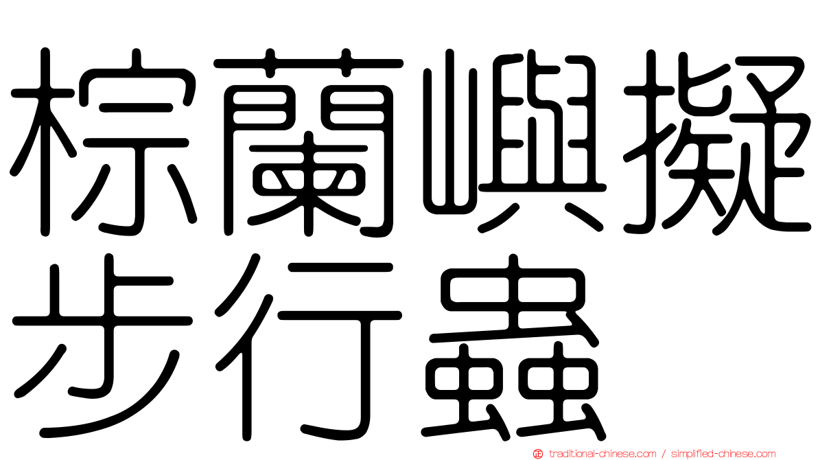 棕蘭嶼擬步行蟲