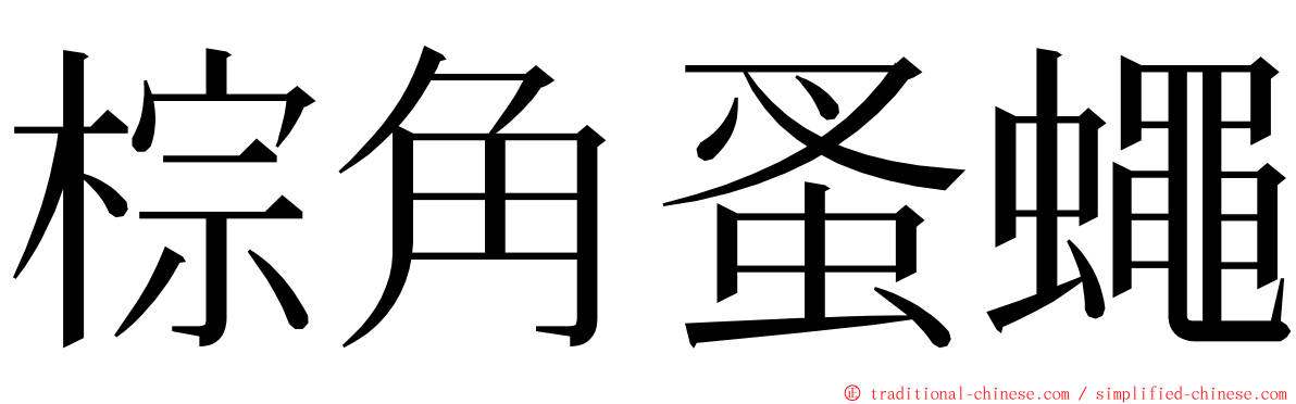 棕角蚤蠅 ming font