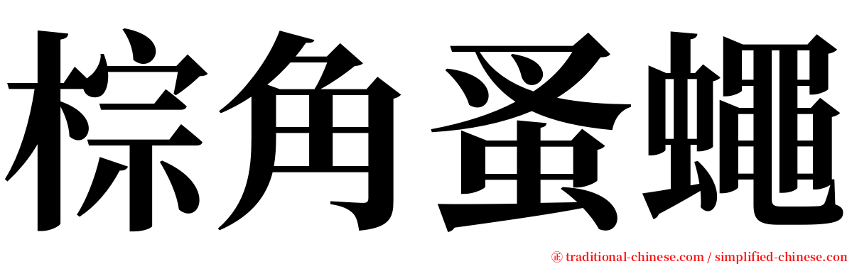 棕角蚤蠅 serif font