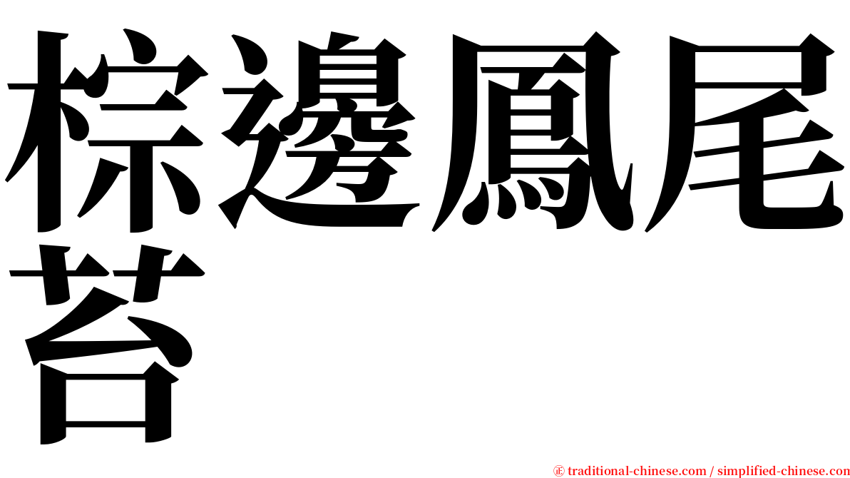 棕邊鳳尾苔 serif font