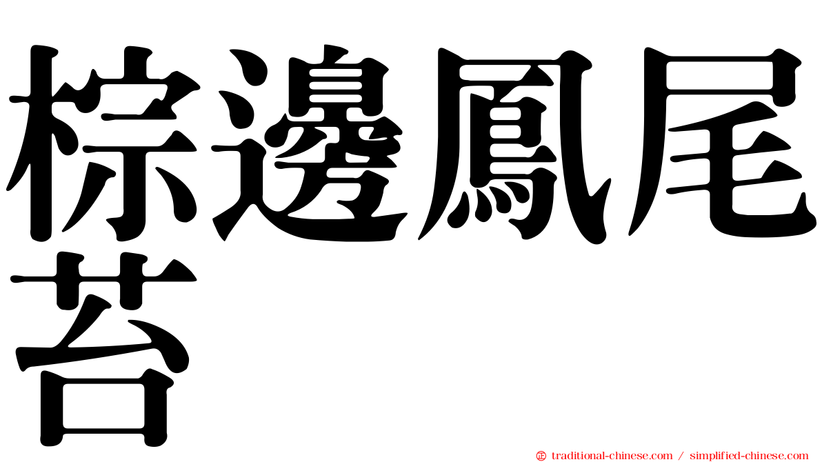 棕邊鳳尾苔