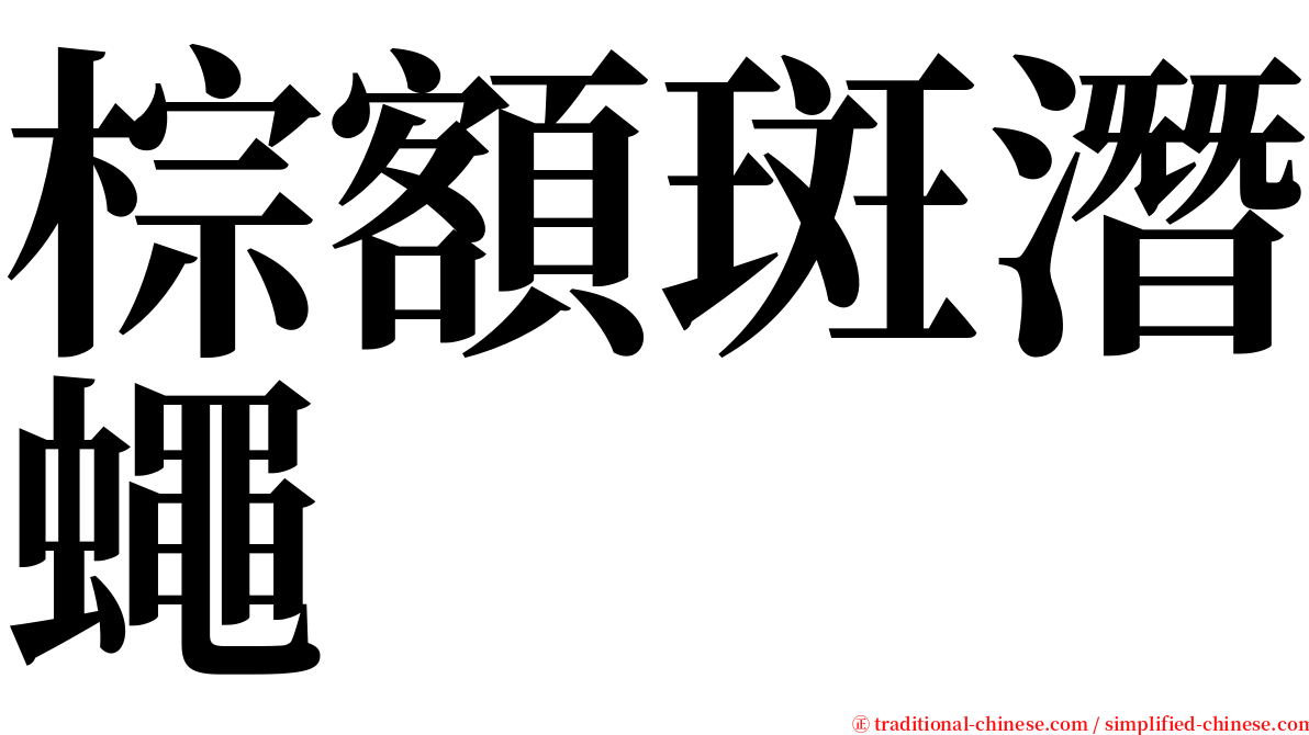 棕額斑潛蠅 serif font