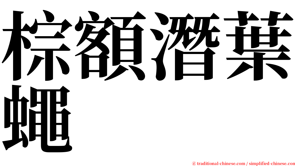 棕額潛葉蠅 serif font