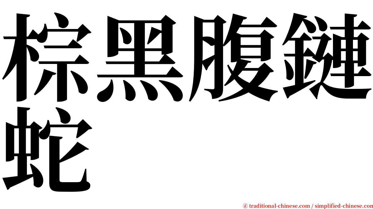 棕黑腹鏈蛇 serif font