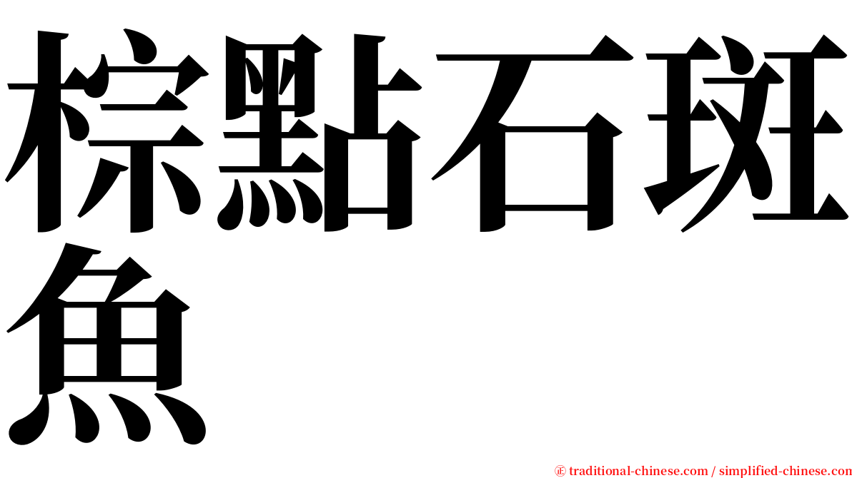 棕點石斑魚 serif font