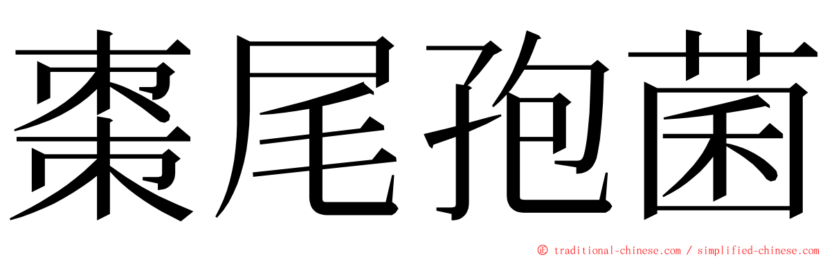 棗尾孢菌 ming font