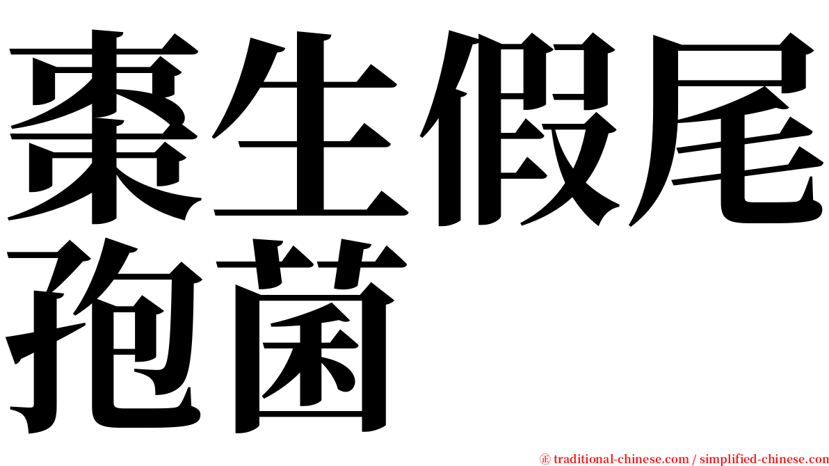 棗生假尾孢菌 serif font