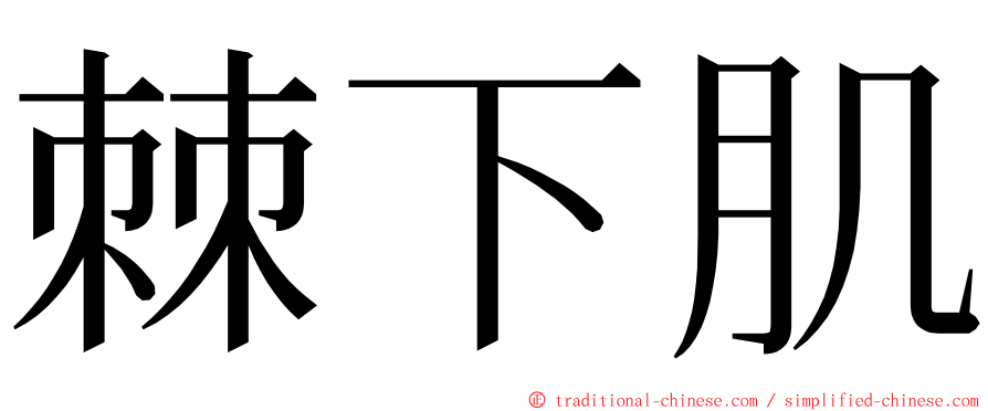 棘下肌 ming font