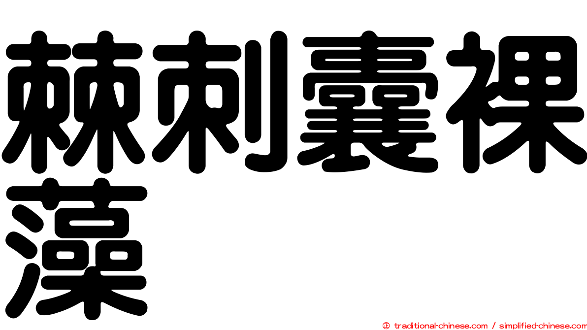 棘刺囊裸藻