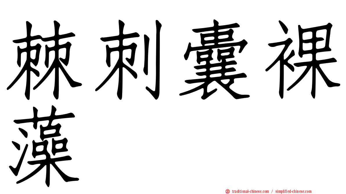 棘刺囊裸藻