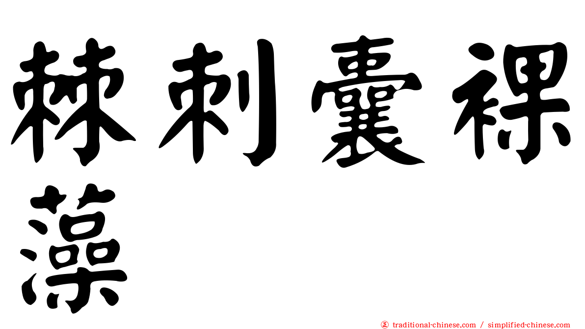 棘刺囊裸藻