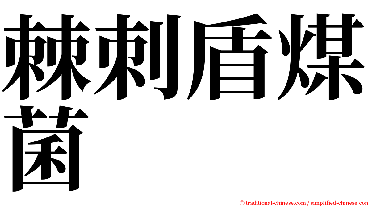 棘刺盾煤菌 serif font