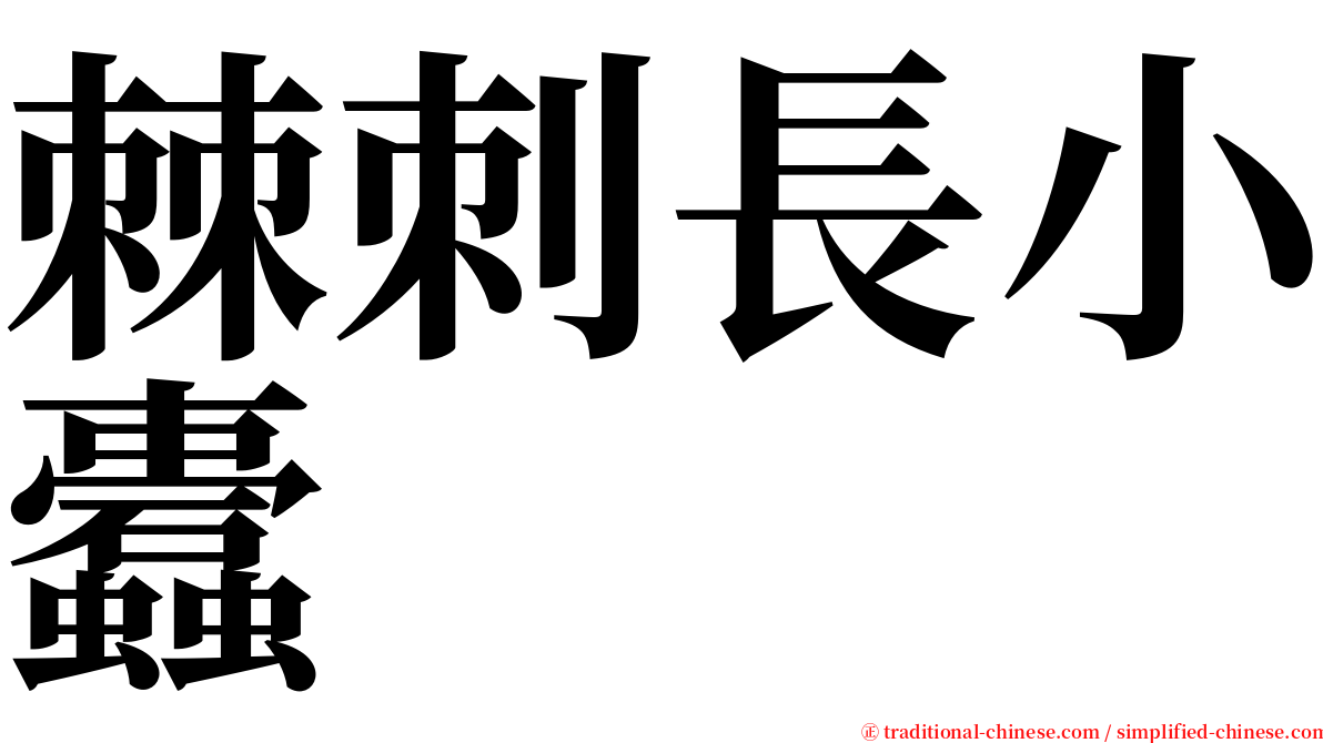 棘刺長小蠹 serif font