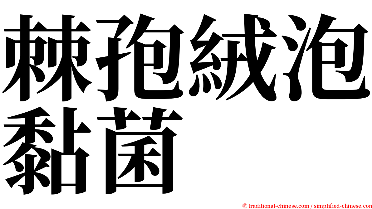 棘孢絨泡黏菌 serif font