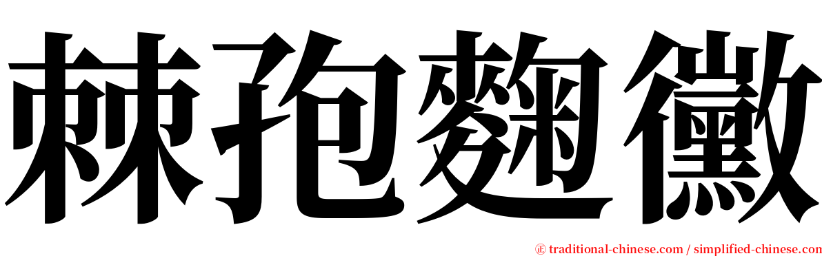 棘孢麴黴 serif font