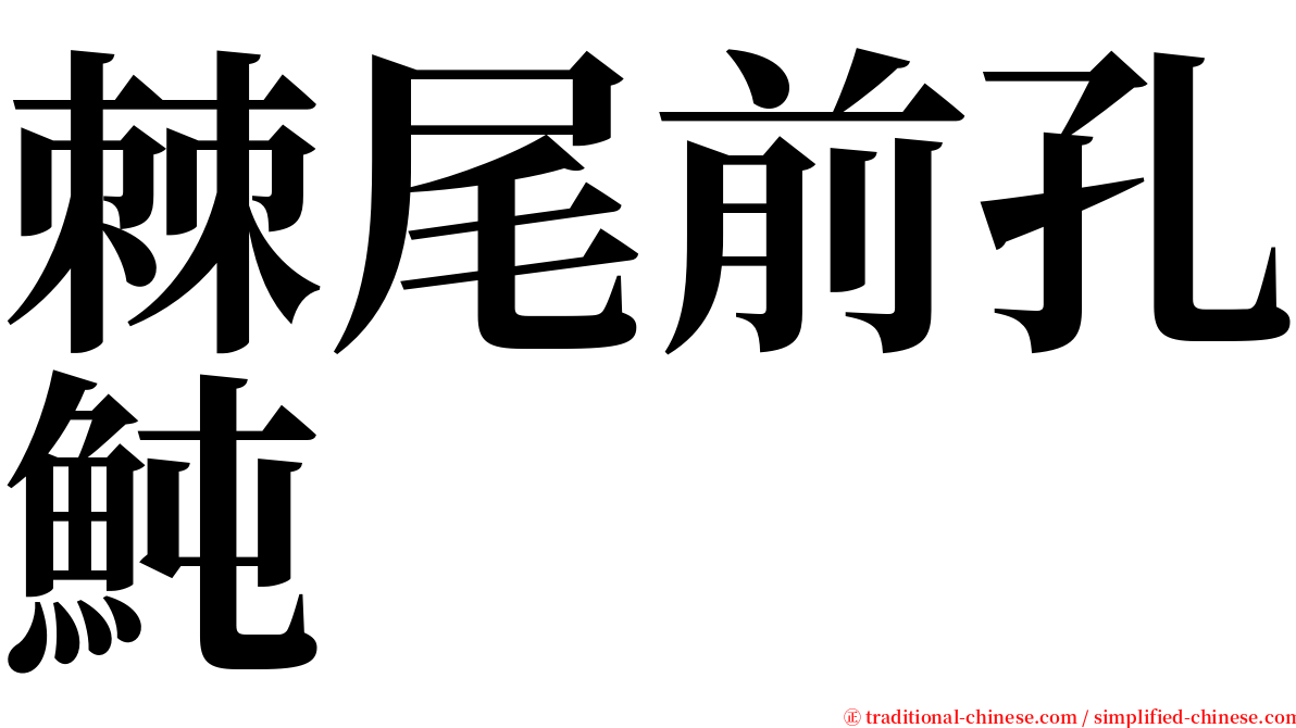 棘尾前孔魨 serif font