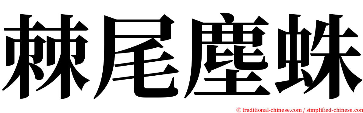 棘尾塵蛛 serif font