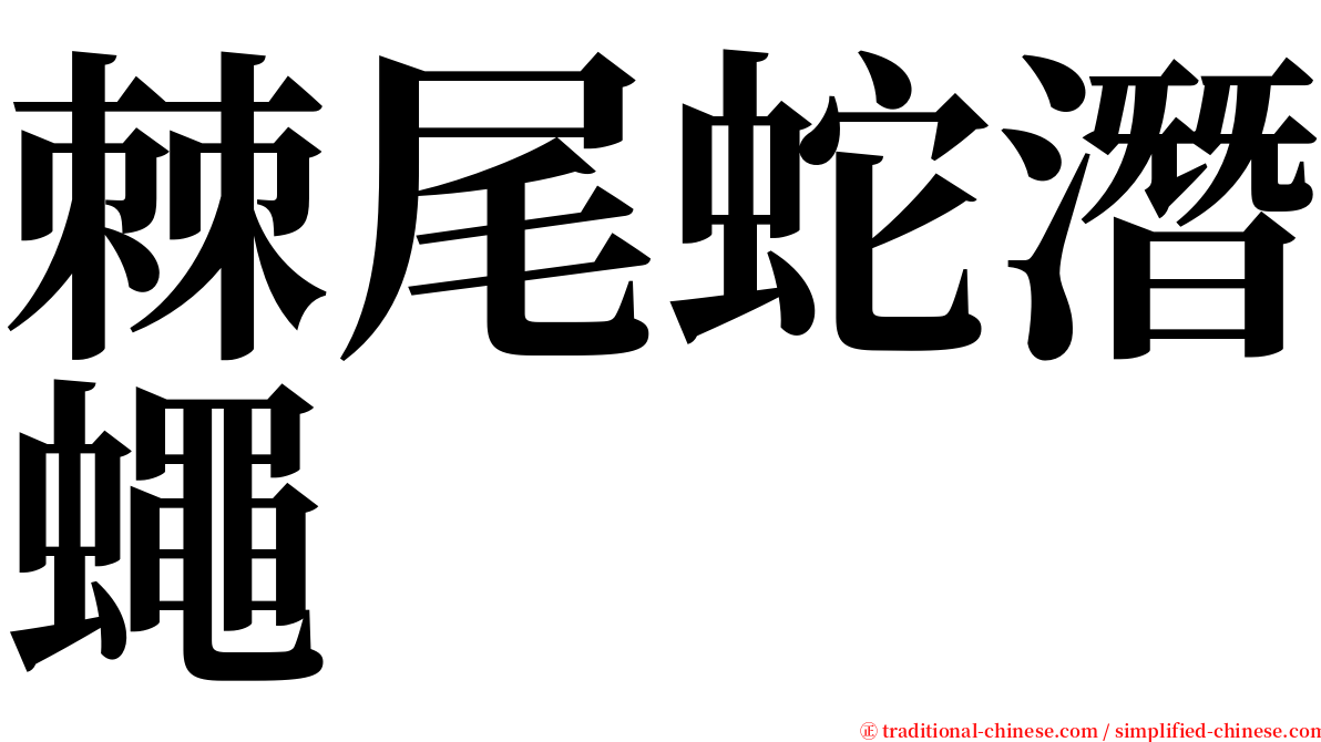 棘尾蛇潛蠅 serif font