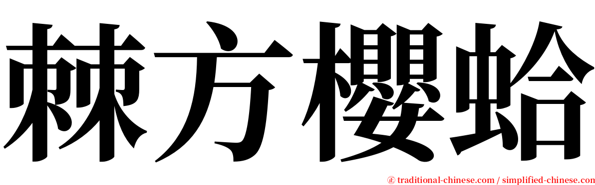 棘方櫻蛤 serif font