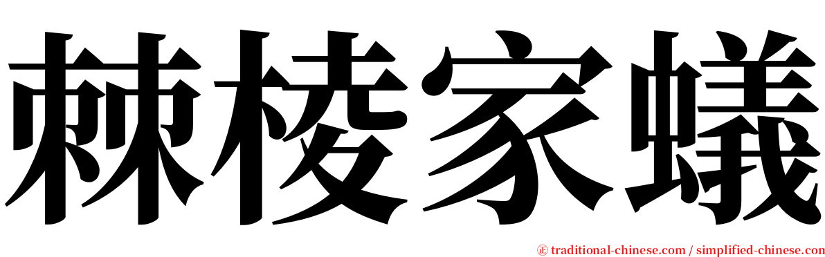 棘棱家蟻 serif font