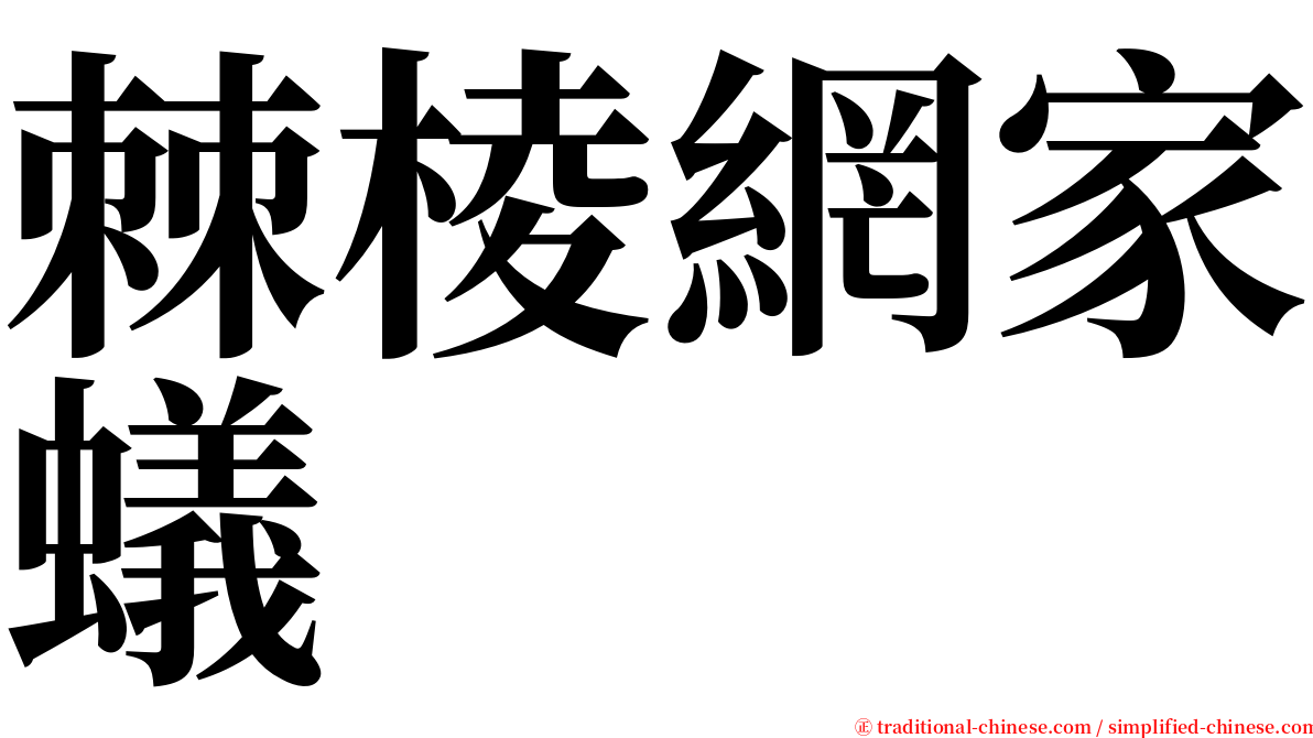 棘棱網家蟻 serif font