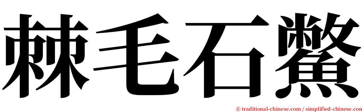 棘毛石鱉 serif font