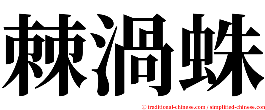 棘渦蛛 serif font