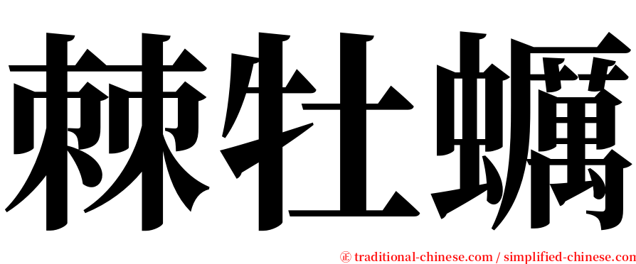 棘牡蠣 serif font