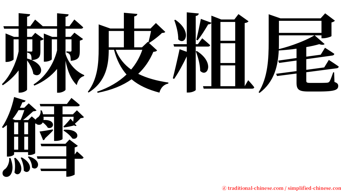 棘皮粗尾鱈 serif font