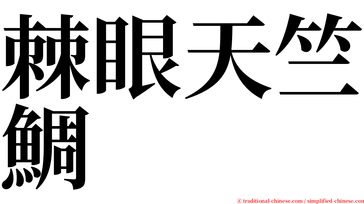 棘眼天竺鯛 serif font