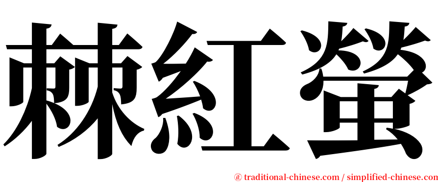 棘紅螢 serif font