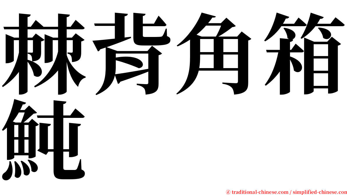 棘背角箱魨 serif font